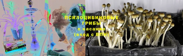 гашик Армянск