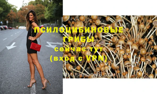 прущая мука Арсеньев