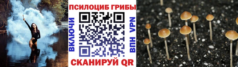 Псилоцибиновые грибы Cubensis  Новомосковск 